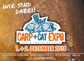 Carp + Cat Expo 2018